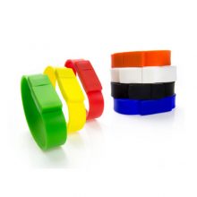 Flashdisk Karet